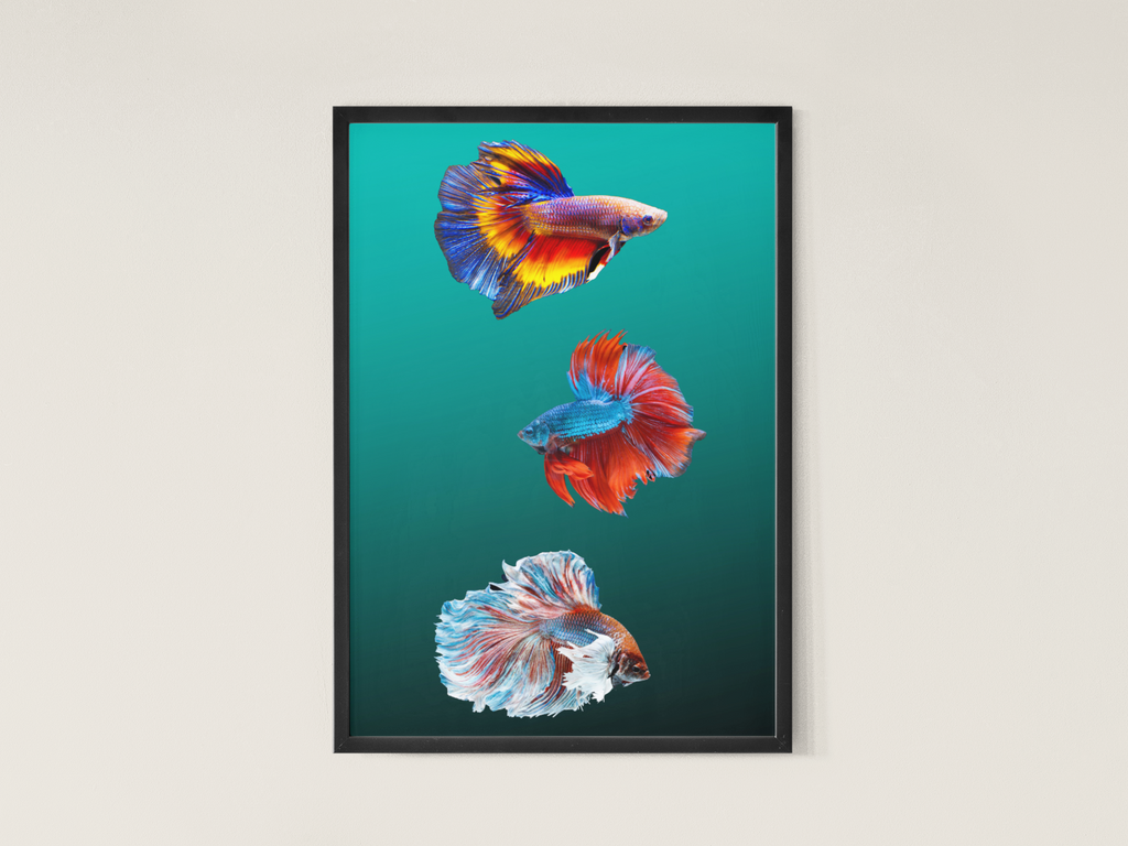 Siamese fighting fish, Giclée Art Print in high Resolution, High-Quality Poster print