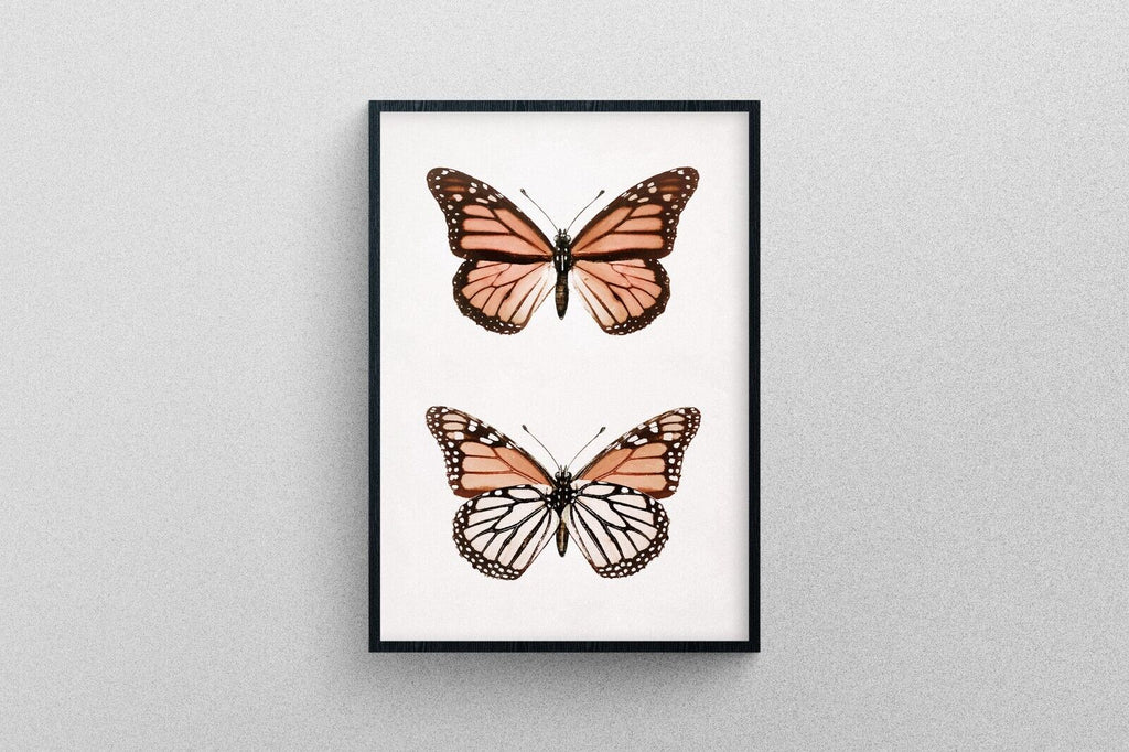 Monarch Butterfly reimagined, Print Professional Print quality poster