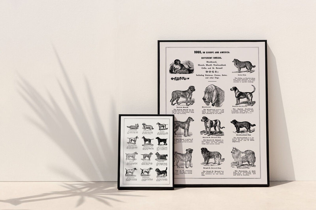 Dog Breeds poster, 1915 by Thomas E. Hill | Art Quality Prints Set of Two