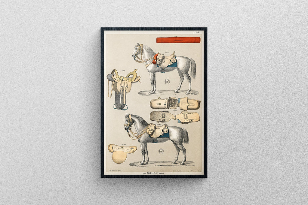 An Antique Illustration of a Horse with horseback riding equipment | Professional Print Quality poster