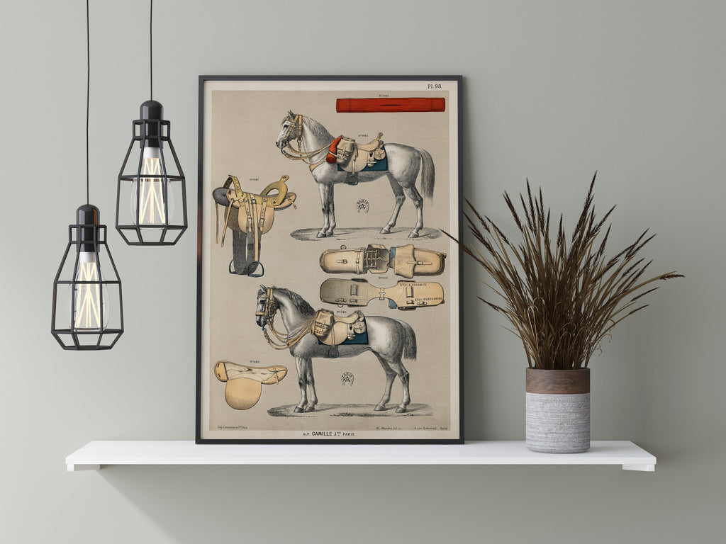 An Antique Illustration of a Horse with horseback riding equipment | P ...