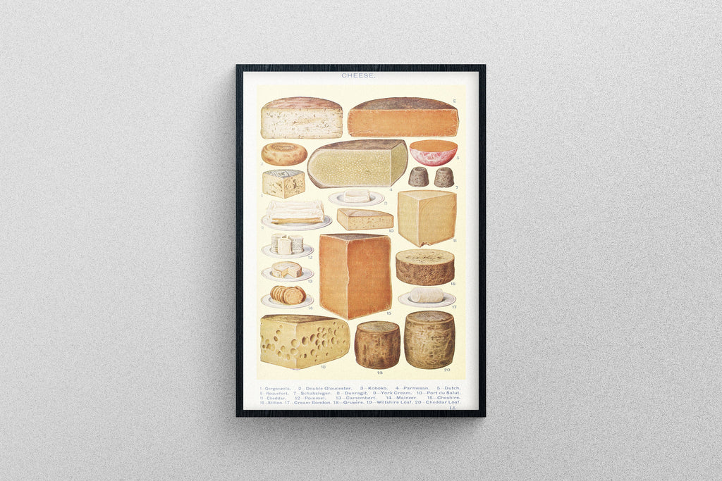 Different Cheeses vintage poster | Art Print Diagram chart exhibition quality