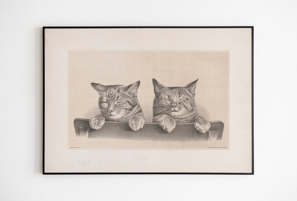 Two Vintage Cats - 1874 Art Print Cat Poster | exhibition quality print