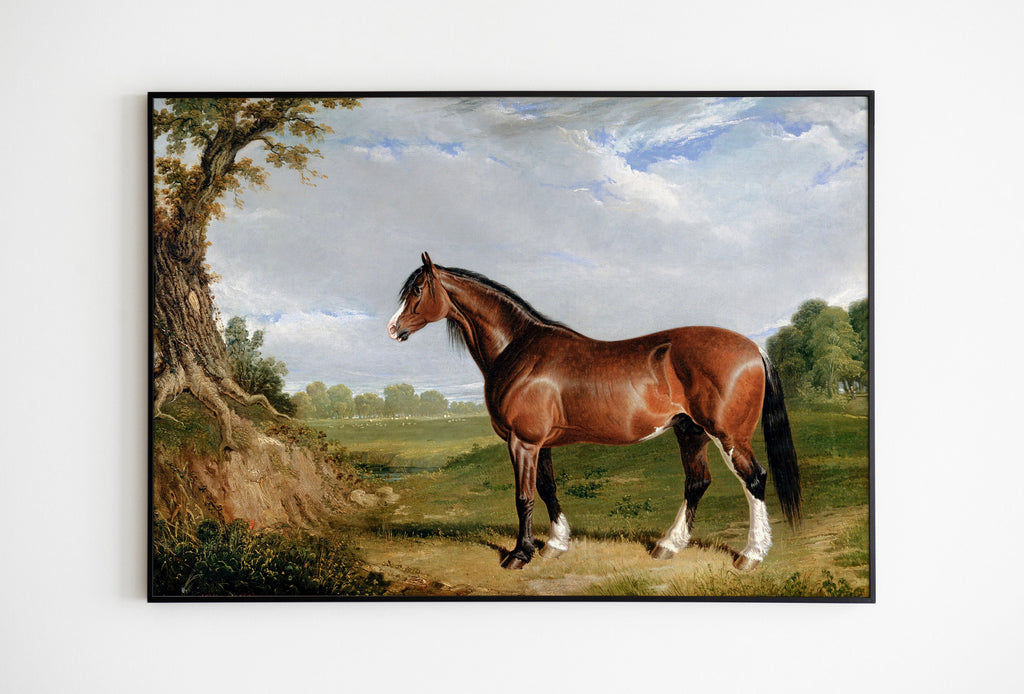 A Clydesdale Stallion Art Print by John Frederick Herring Vintage Horse Poster | exhibition quality print