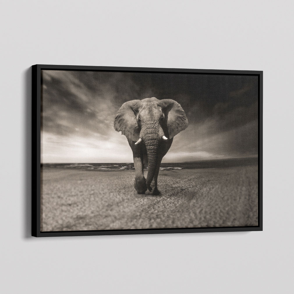 African Elephant Canvas